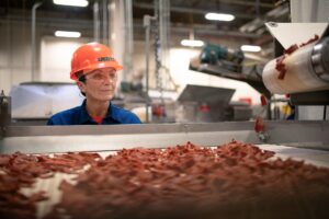 Worker in orange hard hat overseeing food production line.